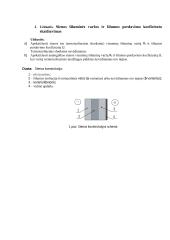 Statybinės fizikos praktinių užduočių sprendimo atsakaita 2 puslapis