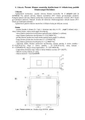 Statybinės fizikos praktinių užduočių sprendimo atsakaita 16 puslapis
