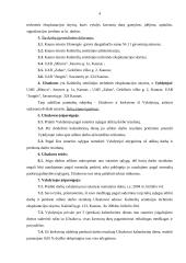 Prevencijos programa 4 puslapis