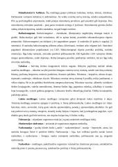 Priklausomybės ir sveikata 4 puslapis