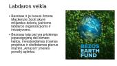 Jeff Bezos ir Amazon.com įkūrimas 5 puslapis