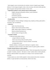 Projektas: Sportuok - būk stiprus ir sveikas 3 puslapis