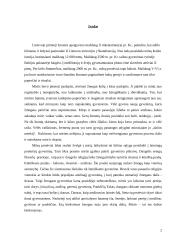 Ritualas laidojimo papročiuose 2 puslapis