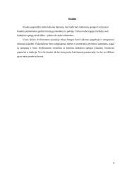 Ritualas laidojimo papročiuose 9 puslapis