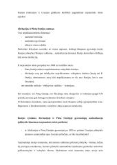 Rusijos ir Gruzijos ginkluoto konflikto pagrindiniai aspektai