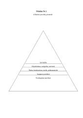 Mano kaip studentės savianalizė 6 puslapis