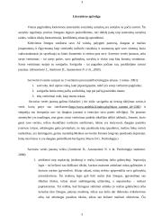 Savigarbos ir savivertės tyrimas 3 puslapis