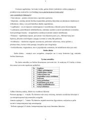 Savigarbos ir savivertės tyrimas 5 puslapis