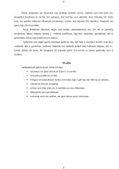 Savigarbos ir savivertės tyrimas 8 puslapis