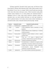 Asmenybės veiklos motyvacijos tyrimas 9 puslapis