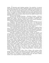 Senovės vikingų civilizacija 4 puslapis