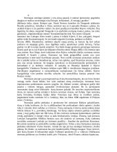 Senovės vikingų civilizacija 5 puslapis