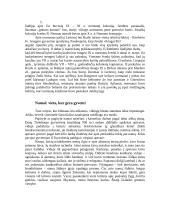 Senovės vikingų civilizacija 6 puslapis