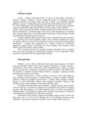 Senovės vikingų civilizacija 7 puslapis