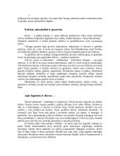 Senovės vikingų civilizacija 8 puslapis