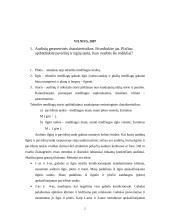 Audinių ir siuvinių medžiagos 2 puslapis