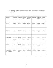 Audinių ir siuvinių medžiagos 5 puslapis