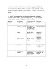 Audinių ir siuvinių medžiagos 9 puslapis