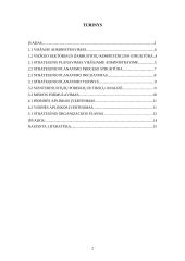 Strateginio planavimo procesas viešajame administravime 2 puslapis