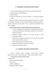 Strateginio planavimo procesas viešajame administravime 11 puslapis