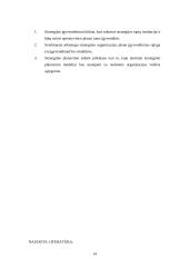 Strateginio planavimo procesas viešajame administravime 14 puslapis