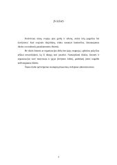 Strateginio planavimo procesas viešajame administravime 3 puslapis