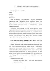 Strateginio planavimo procesas viešajame administravime 9 puslapis