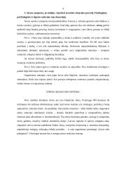 Streso samprata. Asmenybės statusas. Konfliktų tipai 4 puslapis