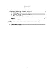 Šeimos šventės Lietuvoje 2 puslapis