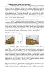 Tabariškių bažnyčios ansamblis 2 puslapis