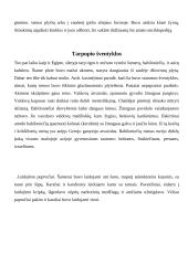 Tarpupio civilizacijos religijos bruožai 7 puslapis