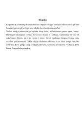 Tarpupio civilizacijos religijos bruožai 8 puslapis