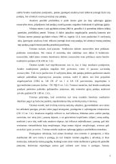 Teisės principų taikymas civilinėse bylose 3 puslapis