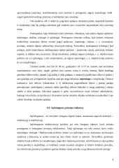 Teisės principų taikymas civilinėse bylose 4 puslapis