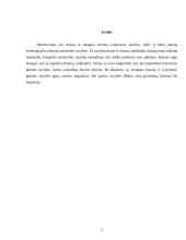 Žmogaus temperamentai 2 puslapis