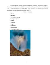 Žmogaus temperamentai 7 puslapis