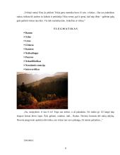 Žmogaus temperamentai 8 puslapis