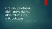 optiniai prietasai, didinantys daiktu atvaizdus fizika