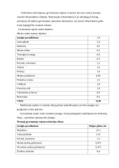 Miesto teritorijų projektavimas 10 puslapis