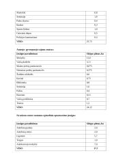 Miesto teritorijų projektavimas 11 puslapis