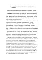 Miesto teritorijų projektavimas 12 puslapis