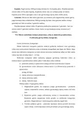 Miesto teritorijų projektavimas 13 puslapis