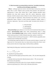 Miesto teritorijų projektavimas 2 puslapis