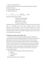 Miesto teritorijų projektavimas 3 puslapis