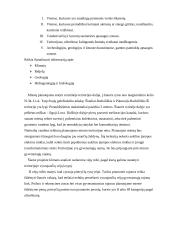 Miesto teritorijų projektavimas 4 puslapis