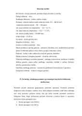 Miesto teritorijų projektavimas 5 puslapis