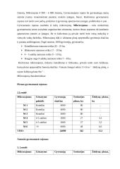 Miesto teritorijų projektavimas 7 puslapis