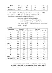Miesto teritorijų projektavimas 9 puslapis