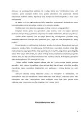 Tyrimo imtis 9 puslapis