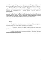 Valdymas kaip savivaldos forma 3 puslapis